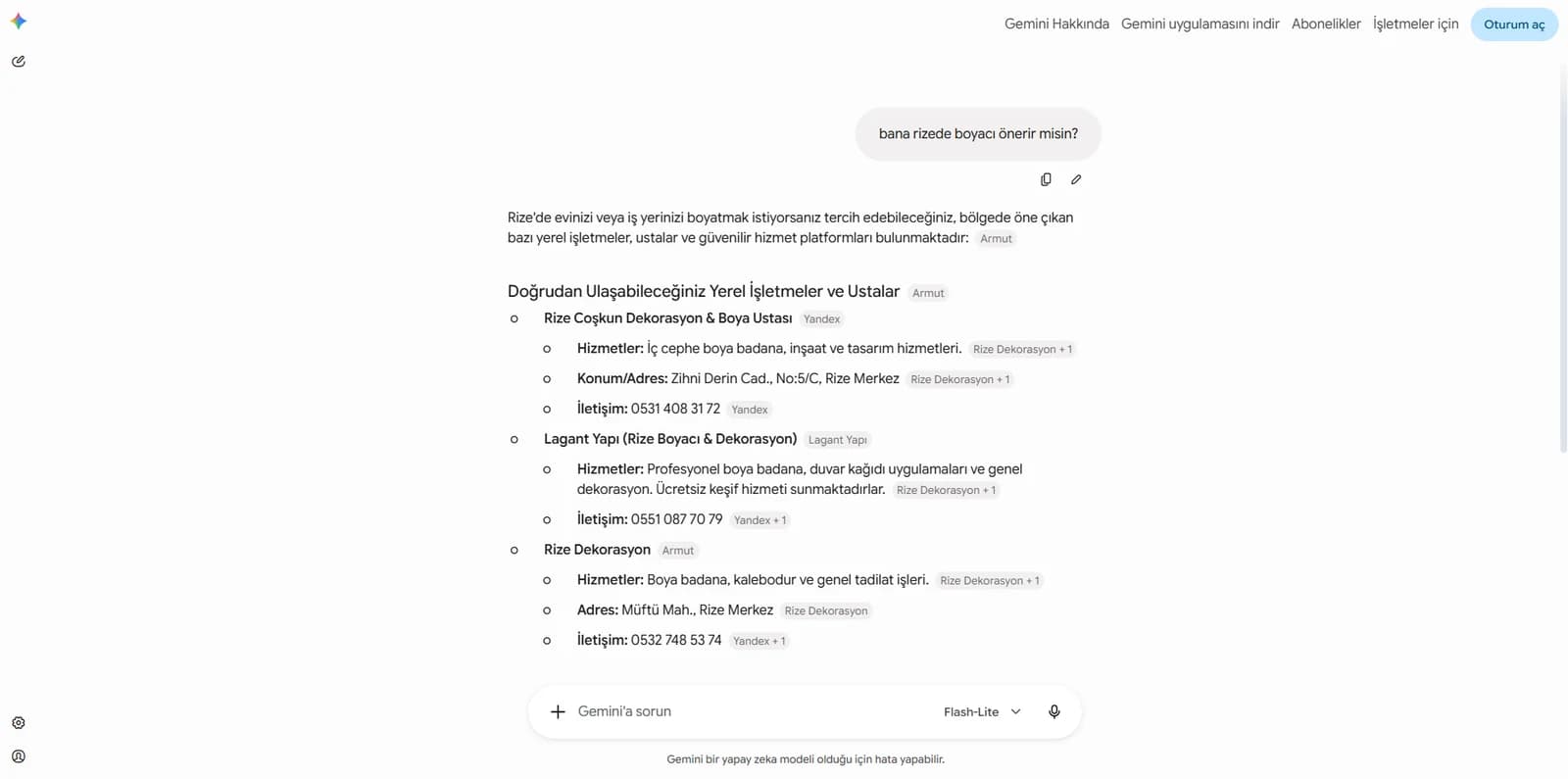 Google Gemini'nin Rize'de boyacı önerisinde Lagant Yapı'yı göstermesi